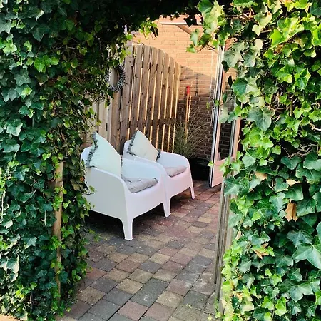 Sunflower * Zandvoort