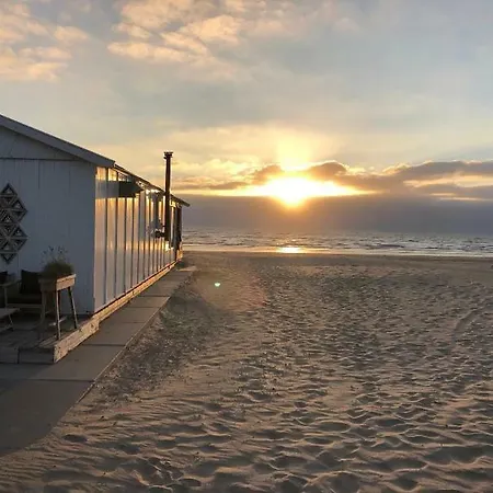 Apartment Sunflower *