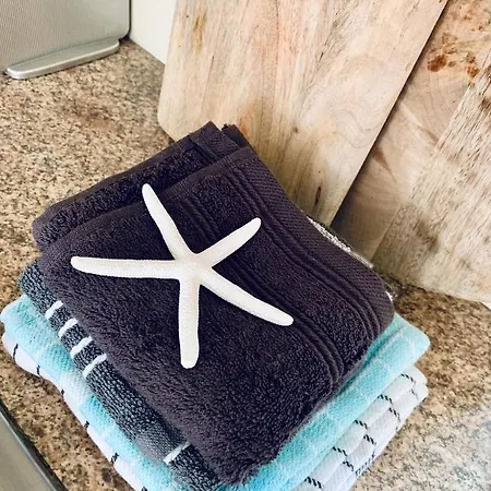 Apartment Sunflower Zandvoort