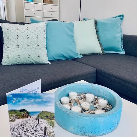 Sunflower * Zandvoort