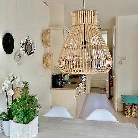 Sunflower * Zandvoort