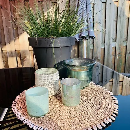 Sunflower * Zandvoort