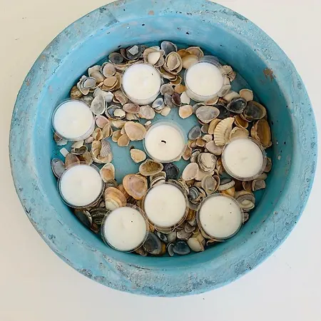 아파트 Sunflower 잔드보르트