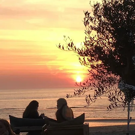 Appartamento Sunflower Zandvoort