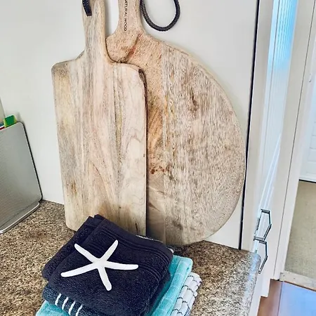 Sunflower * Zandvoort