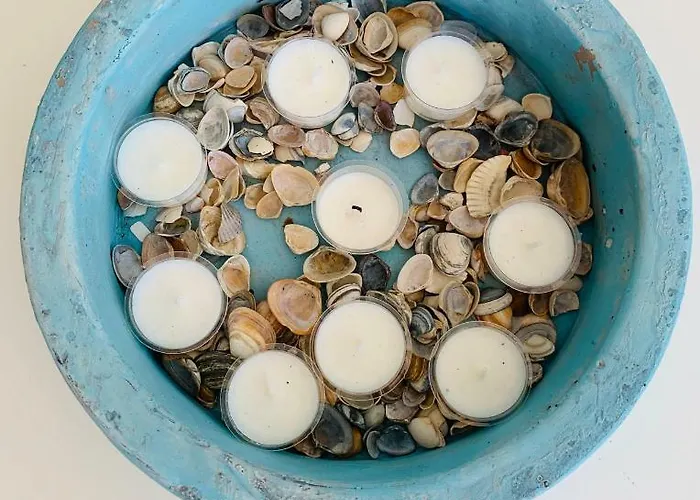 아파트 Sunflower 잔드보르트